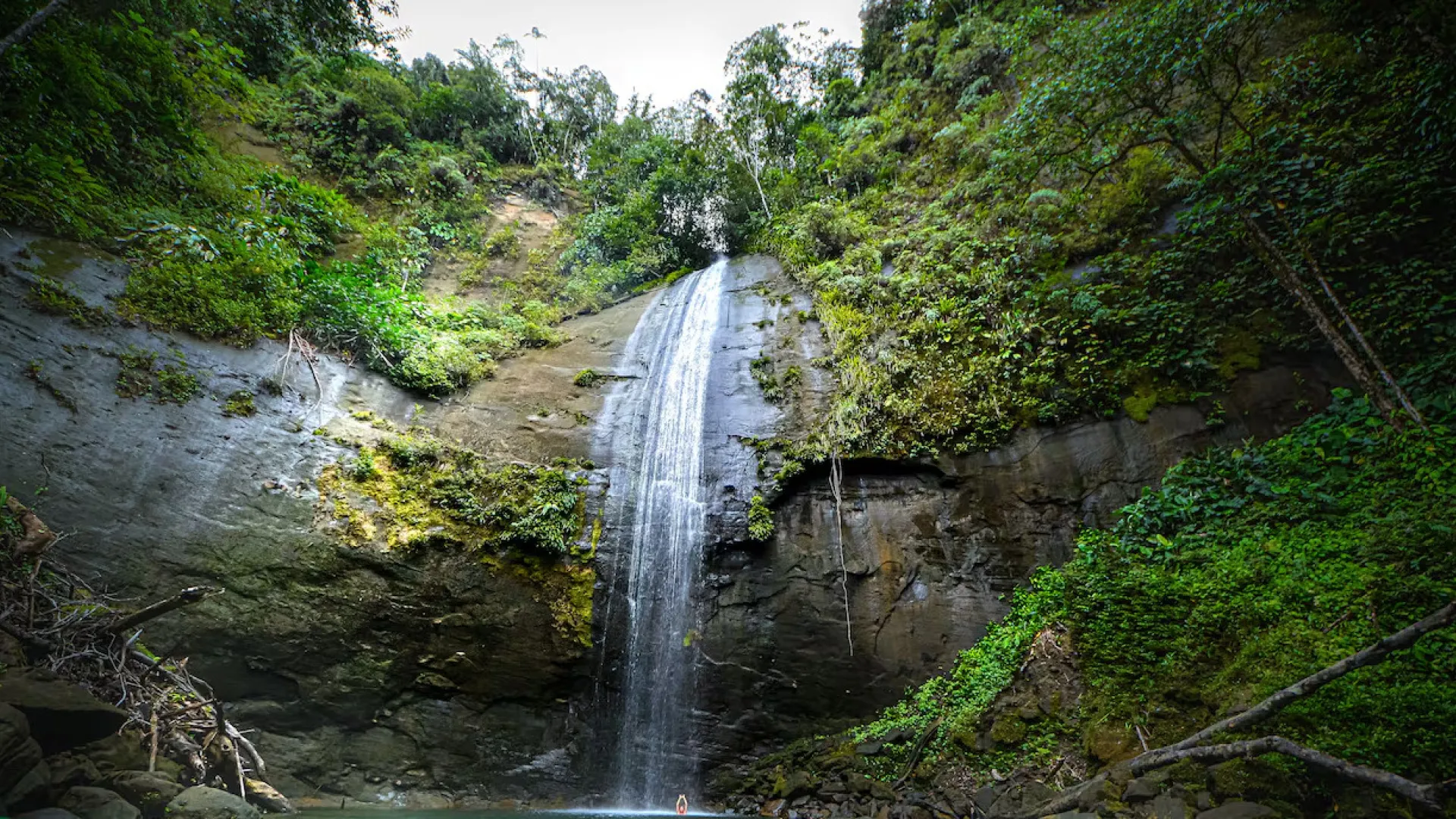 Cine en modo COP16: Estas son las películas recomendadas para entender la Biodiversidad