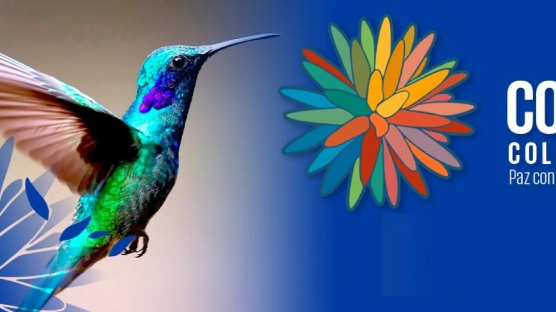 Flor de Inírida, símbolo de diversidad natural del país, es la imagen de la COP16