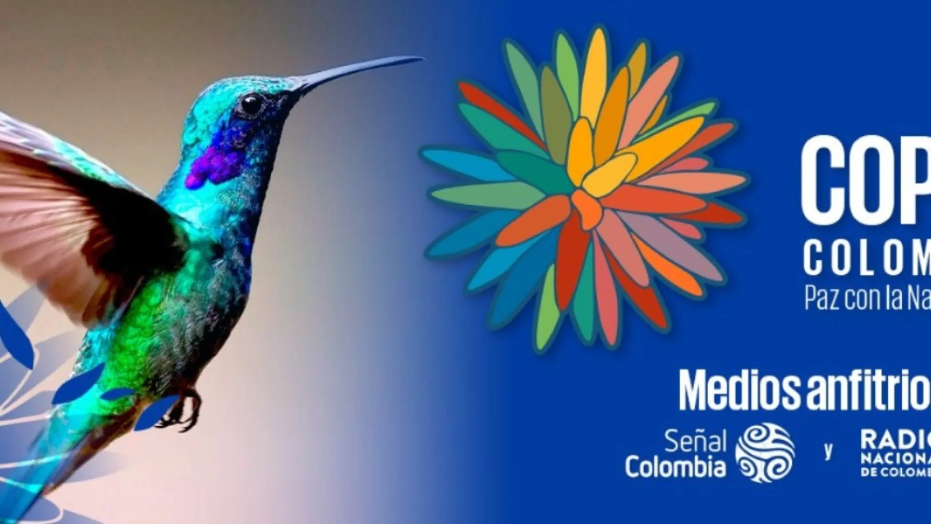 La flor que nunca muere: El poderoso símbolo de la naturaleza colombiana