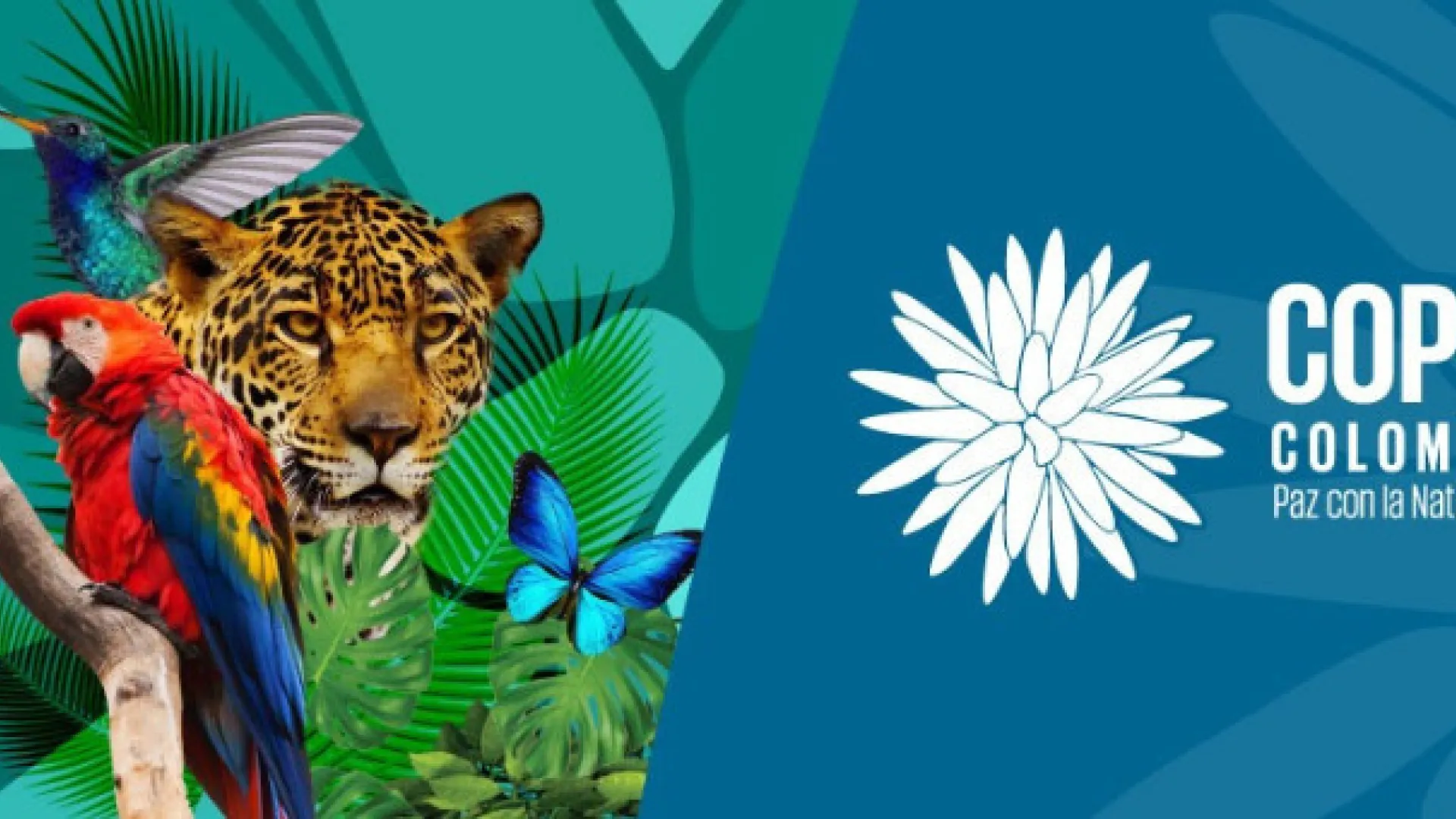 Las 5 cosas que se deben saber de la COP16