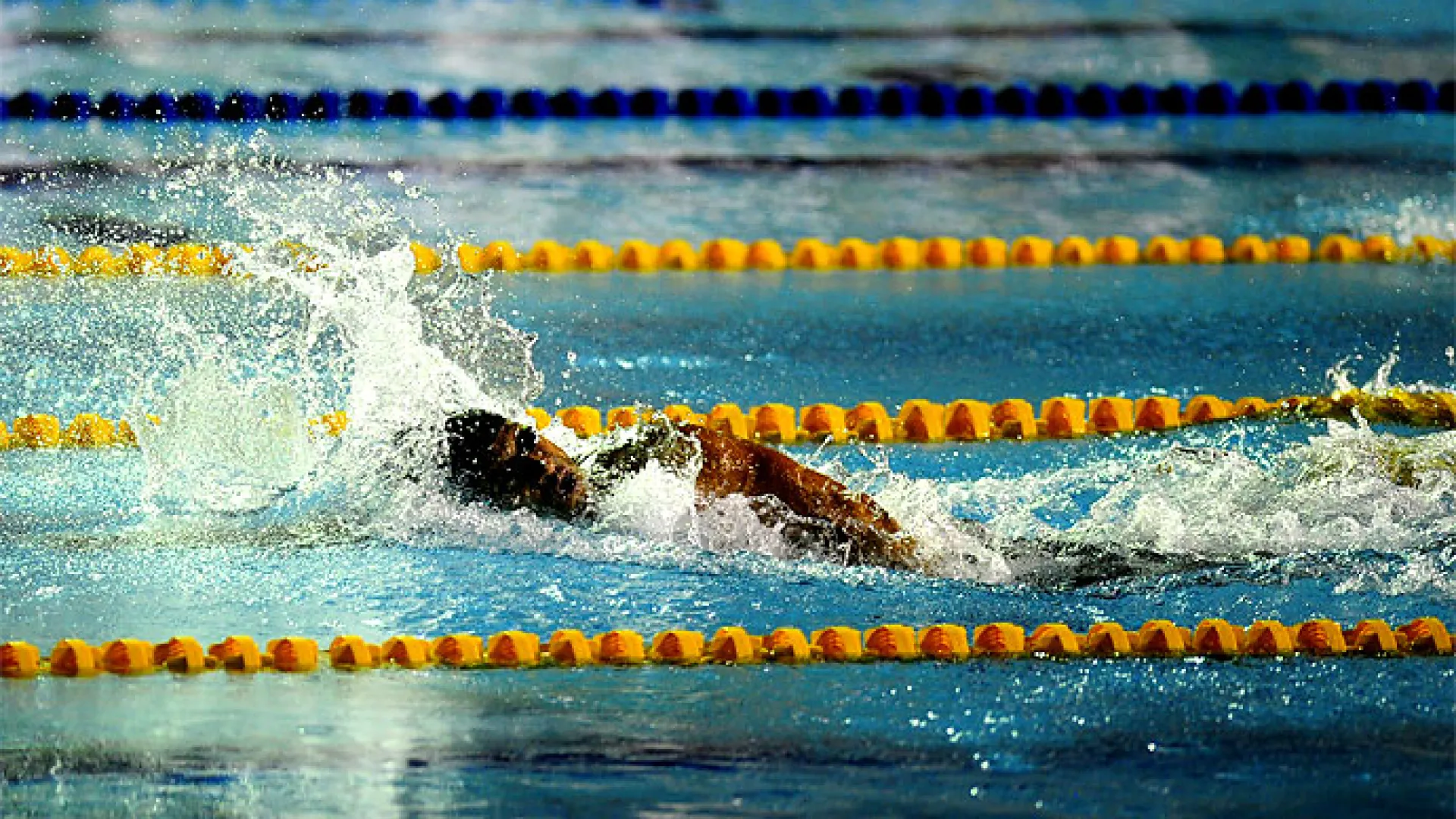 Rusia recibe a los mejores nadadores del mundo