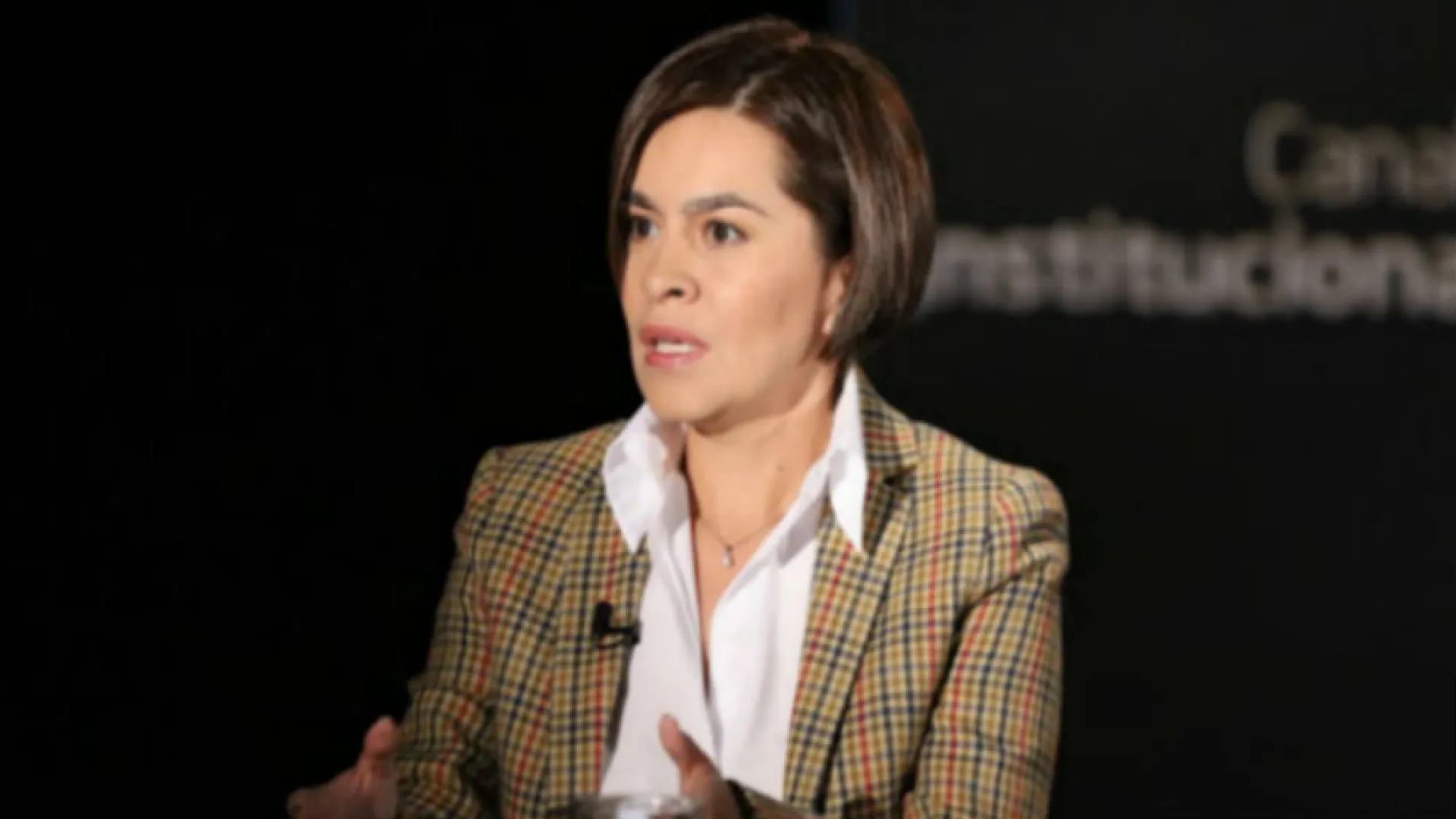 María del Pilar García, abogada especialista en Derecho Minero Energético