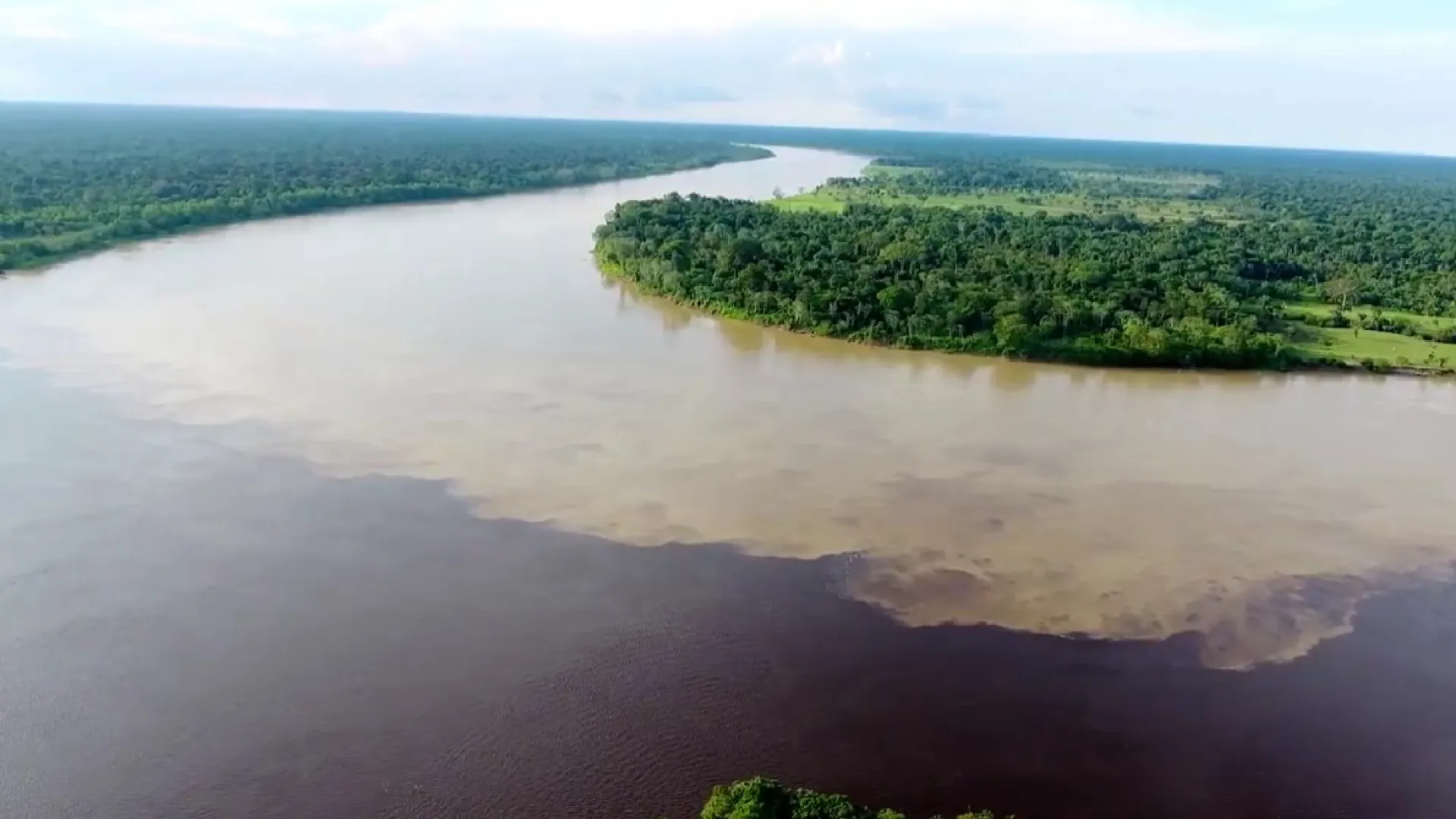 Música y medio ambiente: la oferta de RTVC para este lunes festivo