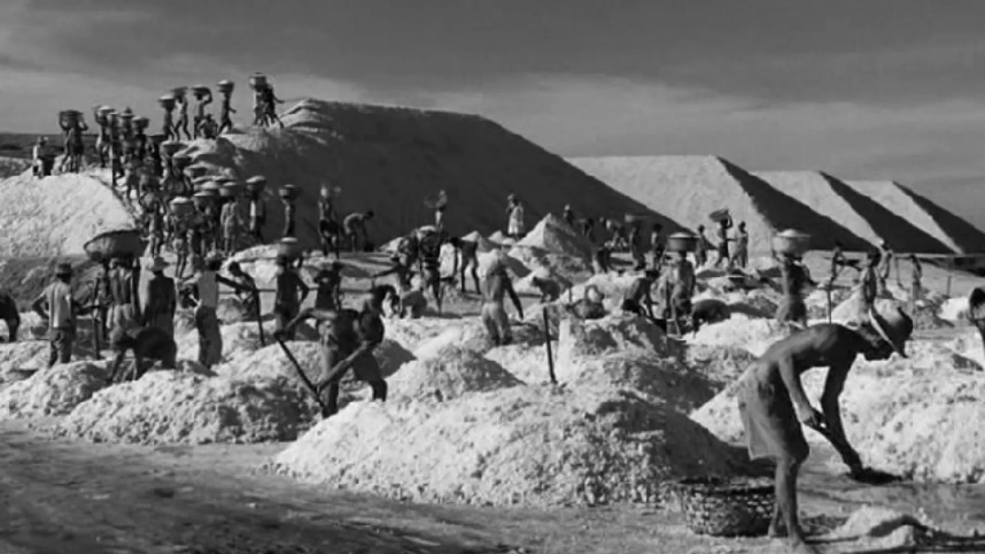 “Esto es real” y “Mayolo”, “En cine nos vemos” de Señal Colombia de RTVC