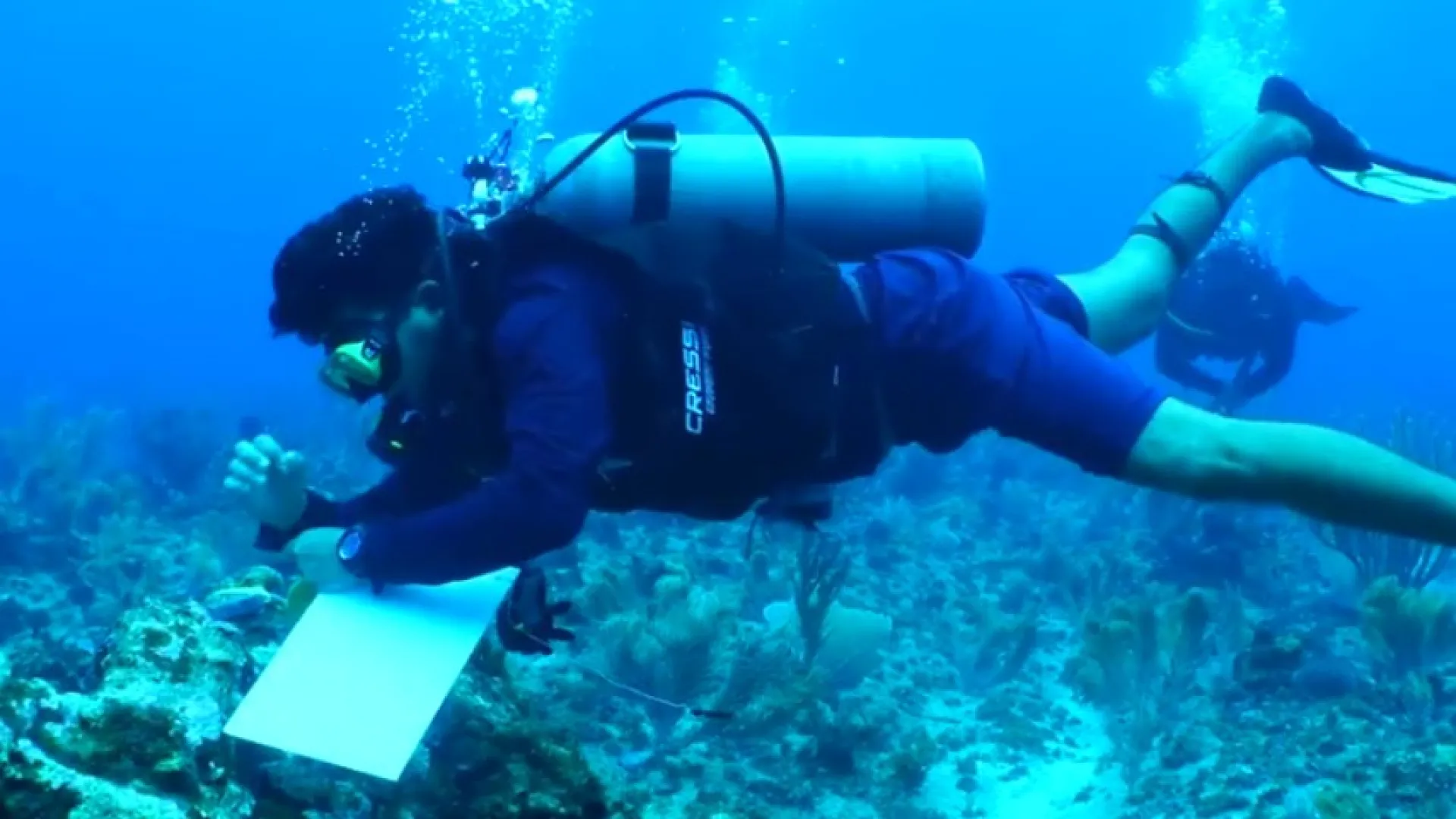 Radio Nacional estrena especial multimedia sobre los ecosistemas colombianos