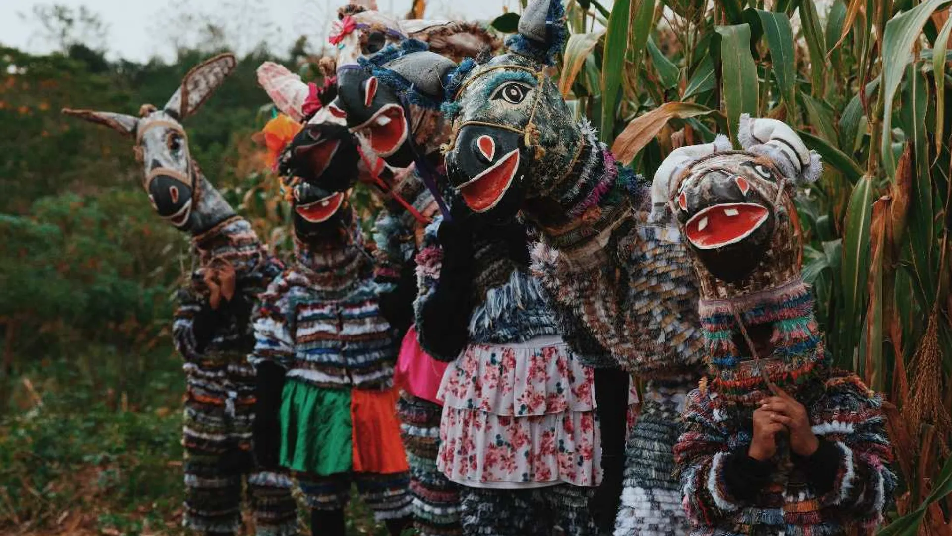 Carnaval de Barranquilla: fiesta y tradición en una serie documental