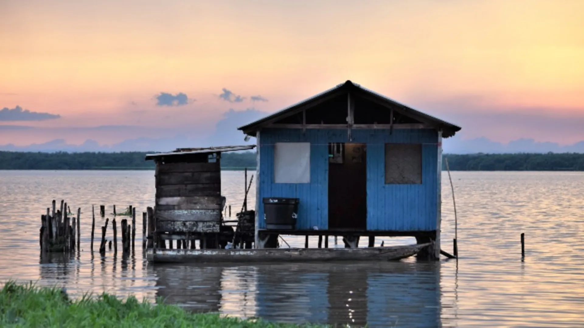 En los últimos 5 años, 8.400 hectáreas de manglar ha muerto en la Ciénaga Grande de Santa Marta