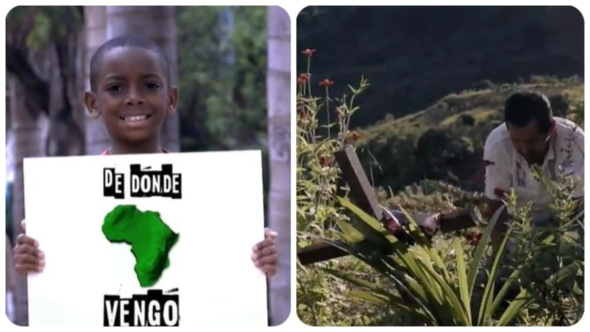 Llegan nuevos estrenos en cuarentena a RTVCPlay