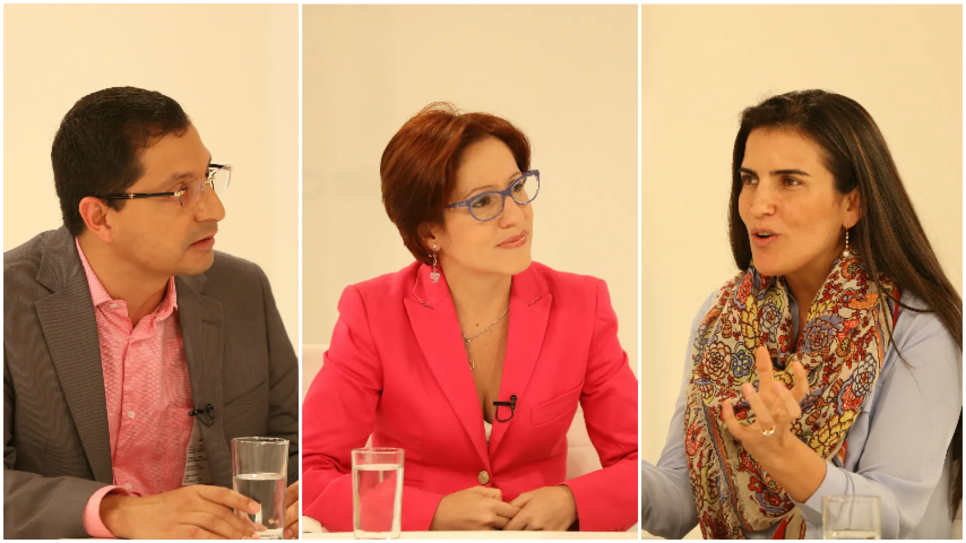 Invitados en Conversemos de Paz por el Canal Institucional