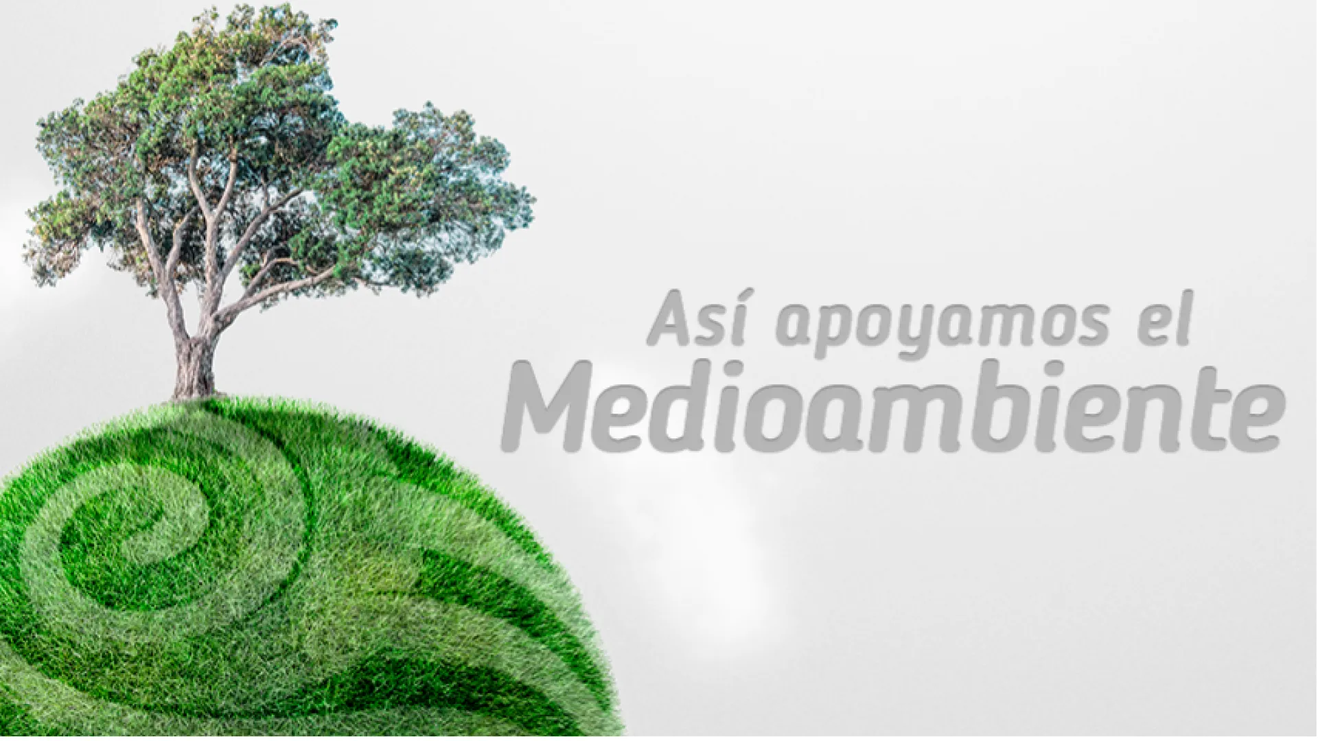 Día del Medio Ambiente