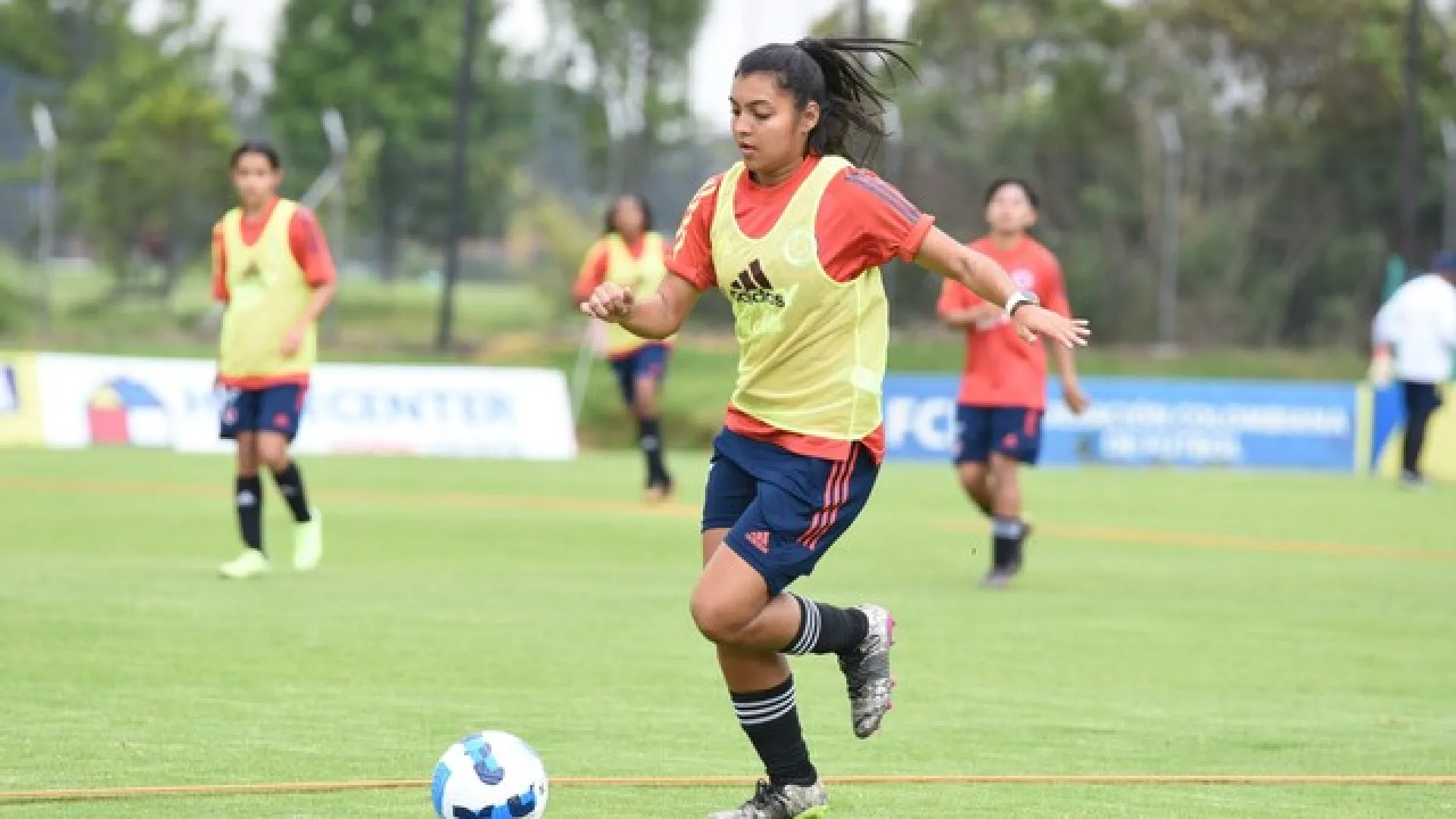 Sudamericano femenino