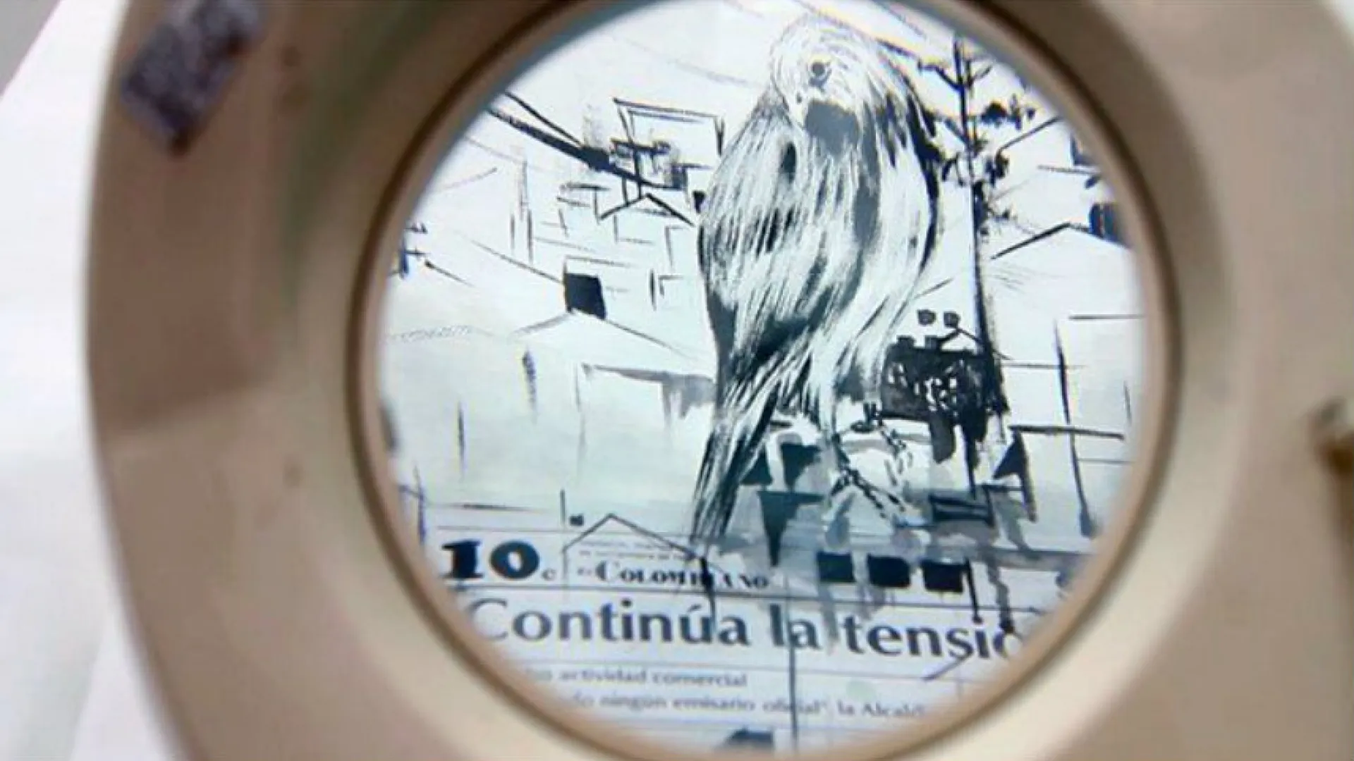 Vea “Pájaros de Frontera, Aves de Ningún Lugar” en Señal Colombia de RTVC