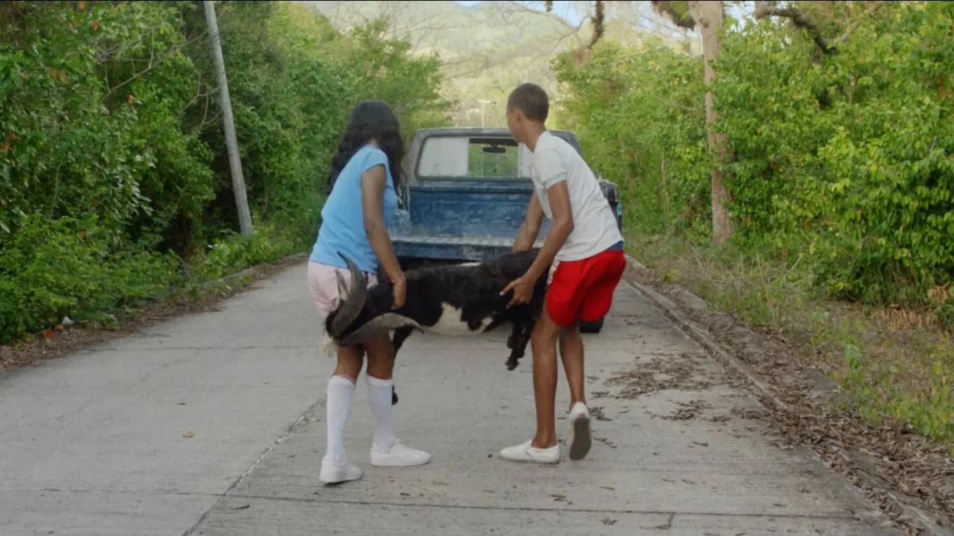 Cinco razones para ver El día de la cabra en RTVCPlay