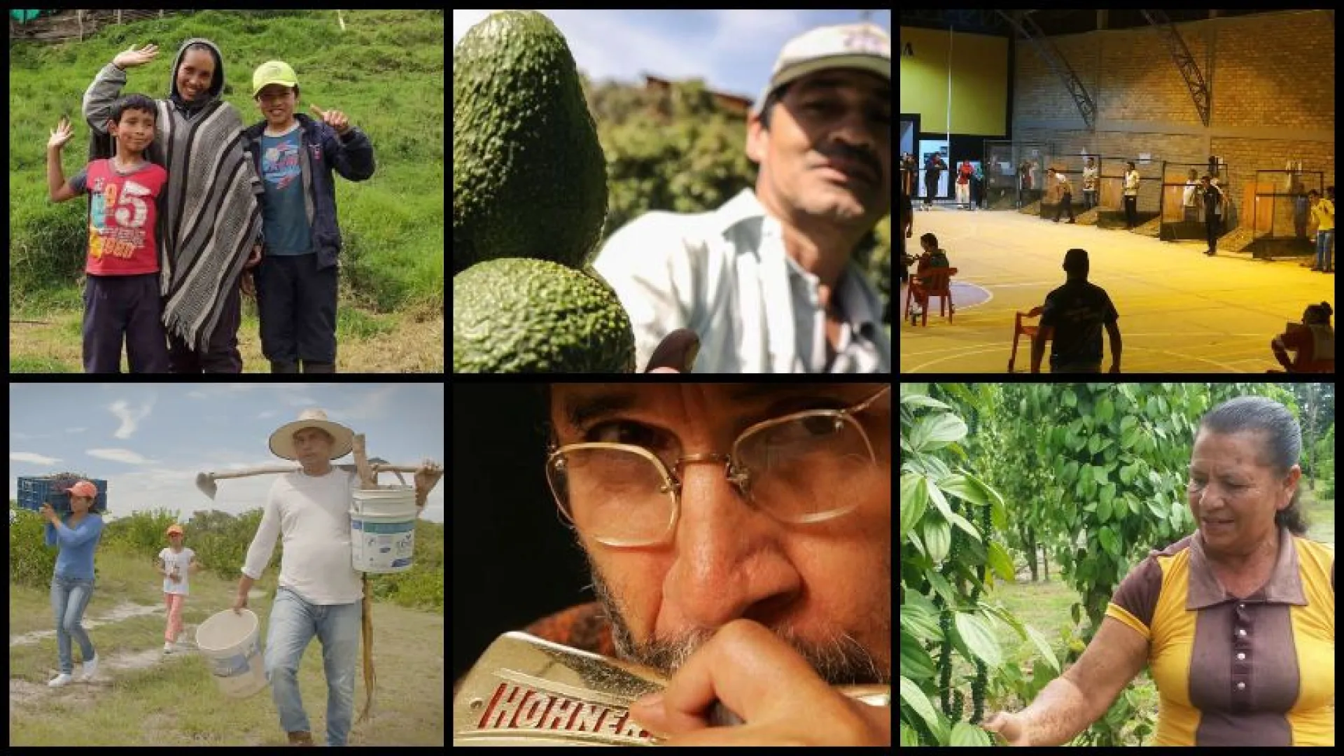 Los campesinos colombianos, protagonistas de los contenidos de RTVC