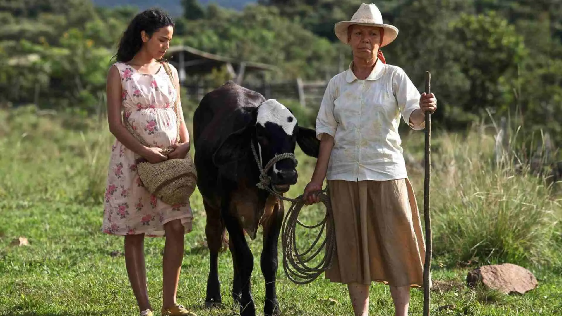 Dos mujeres y una vaca película gratis en RTVCPlay