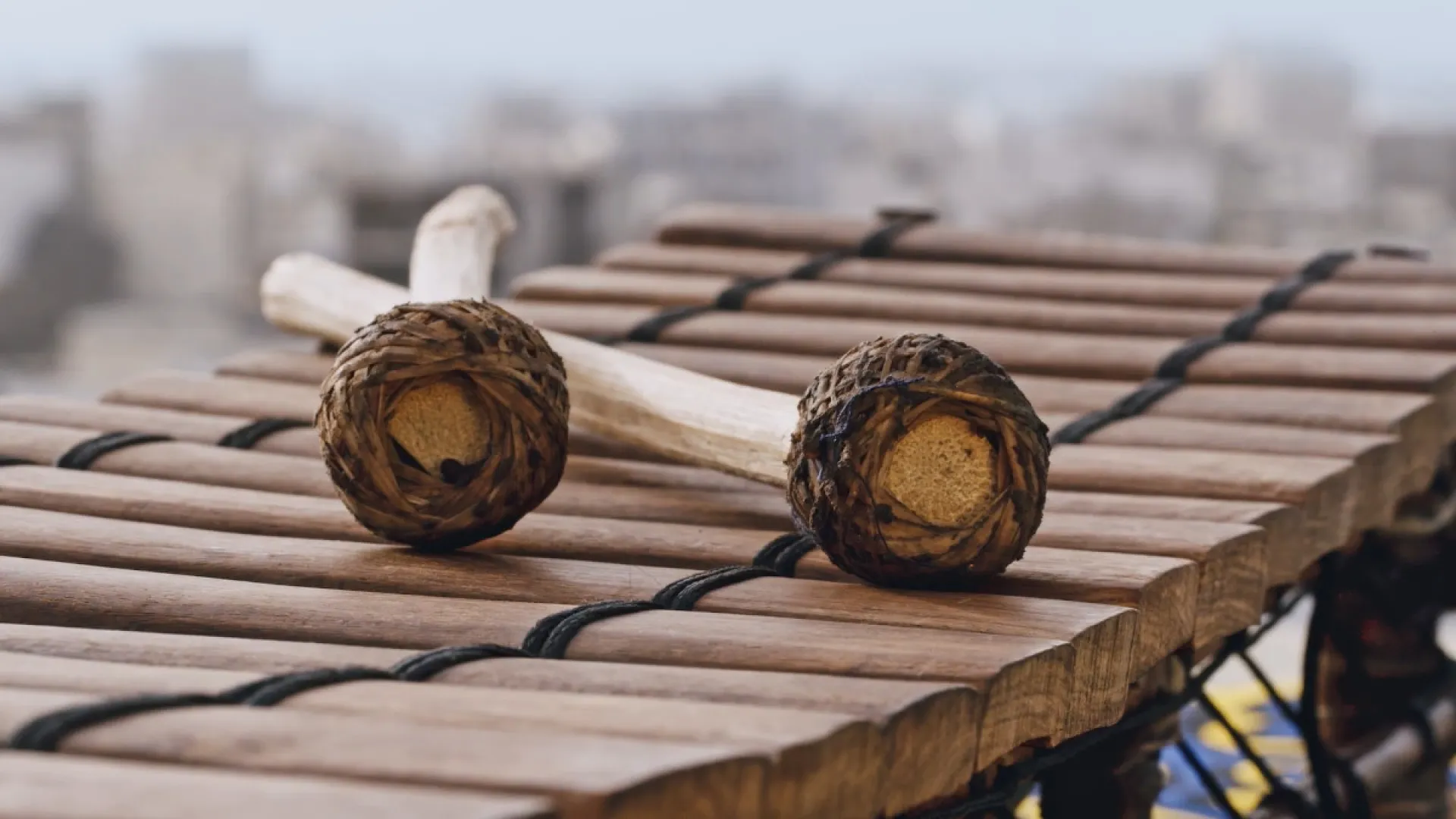 "El viaje de la marimba", este domingo por Señal Colombia 