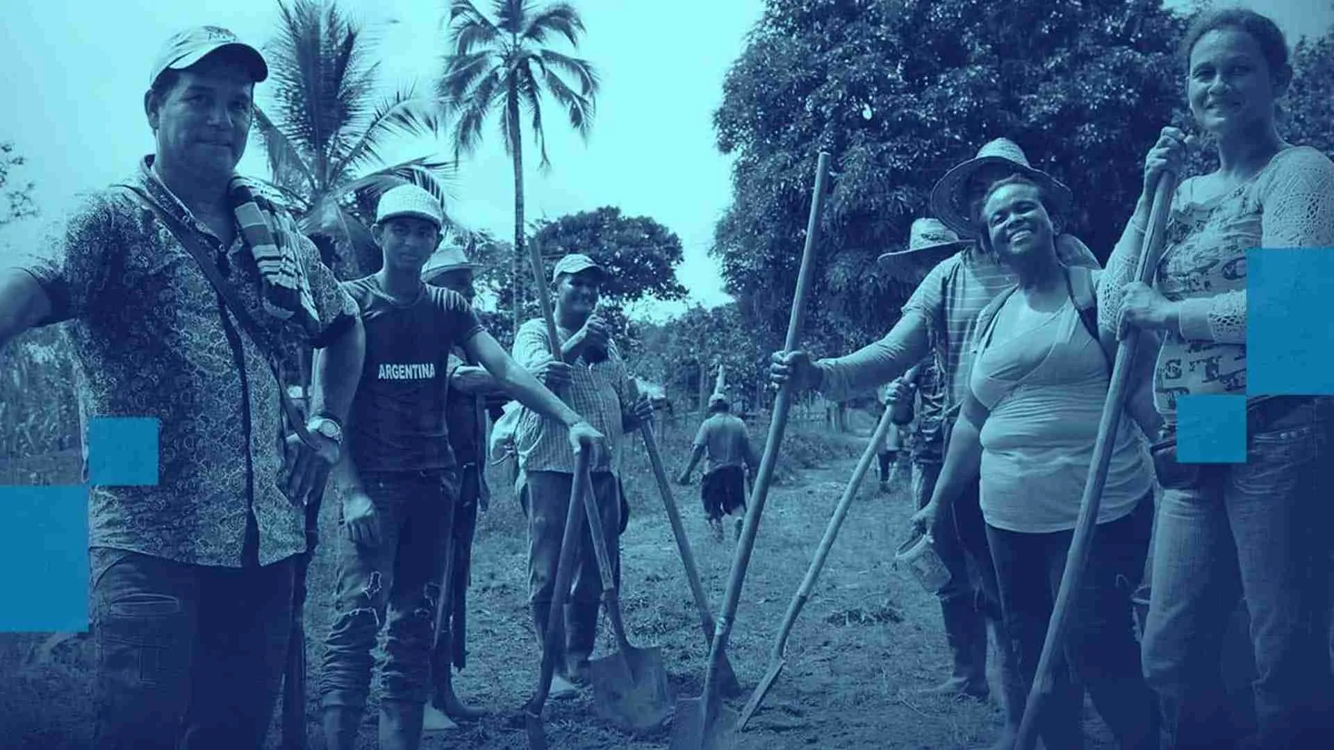 ¿Cómo se celebra en RTVC el Día internacional de la paz?