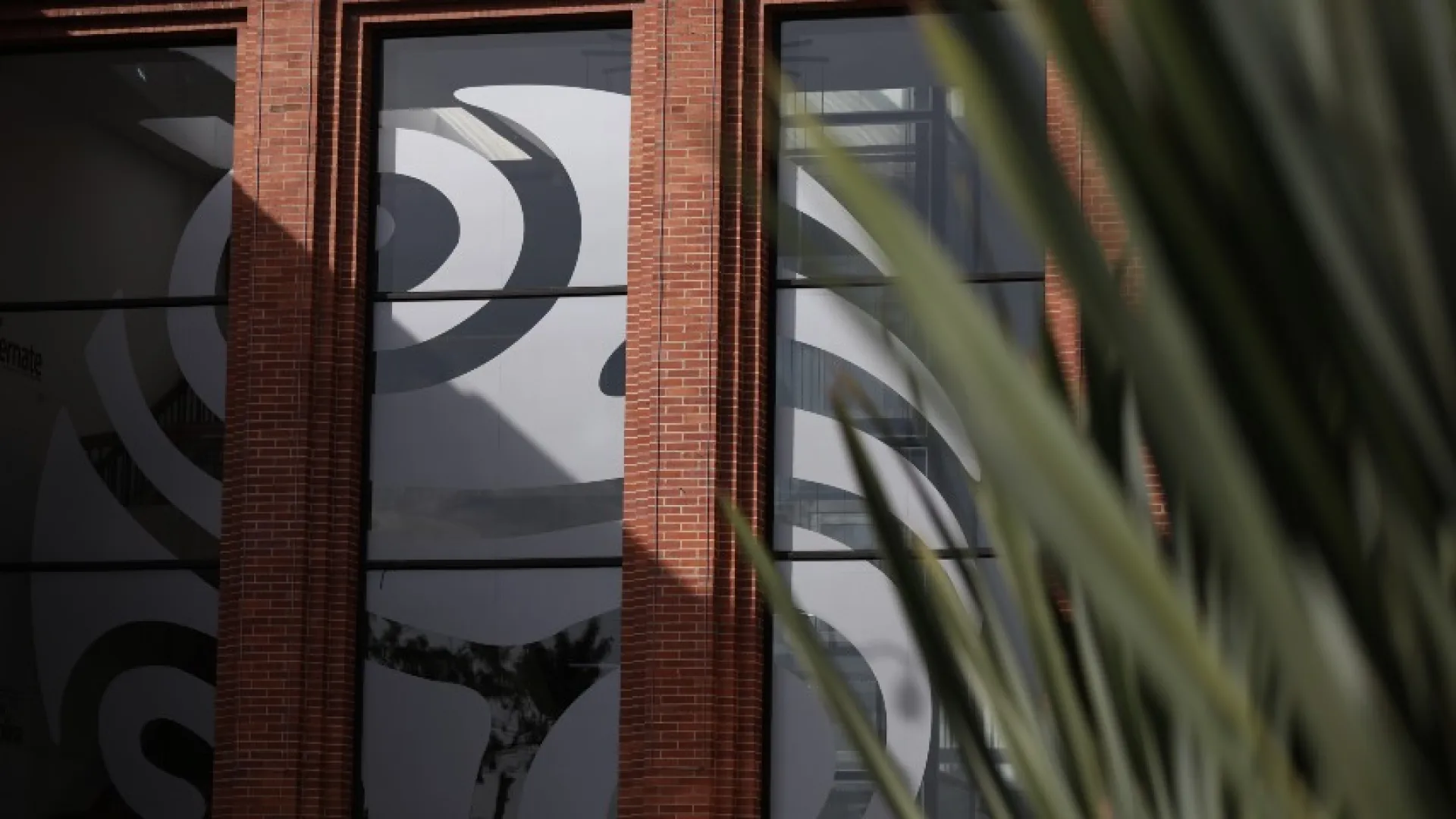 Comunicado a la opinión pública