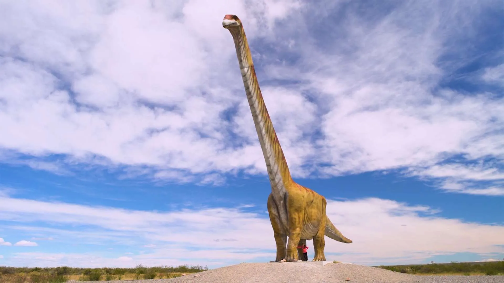 ¡Estrenos en pantalla! Conoce las producciones más animadas para disfrutar en vacaciones