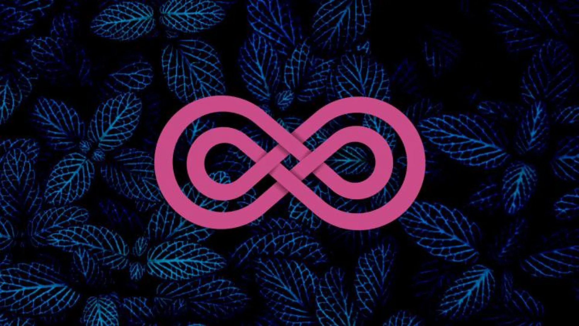 Loop 48 Radiónica de RTVC