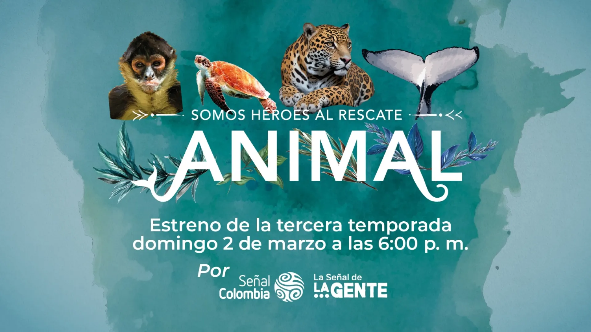Señal Colombia estrena la serie ‘Somos héroes al rescate animal’