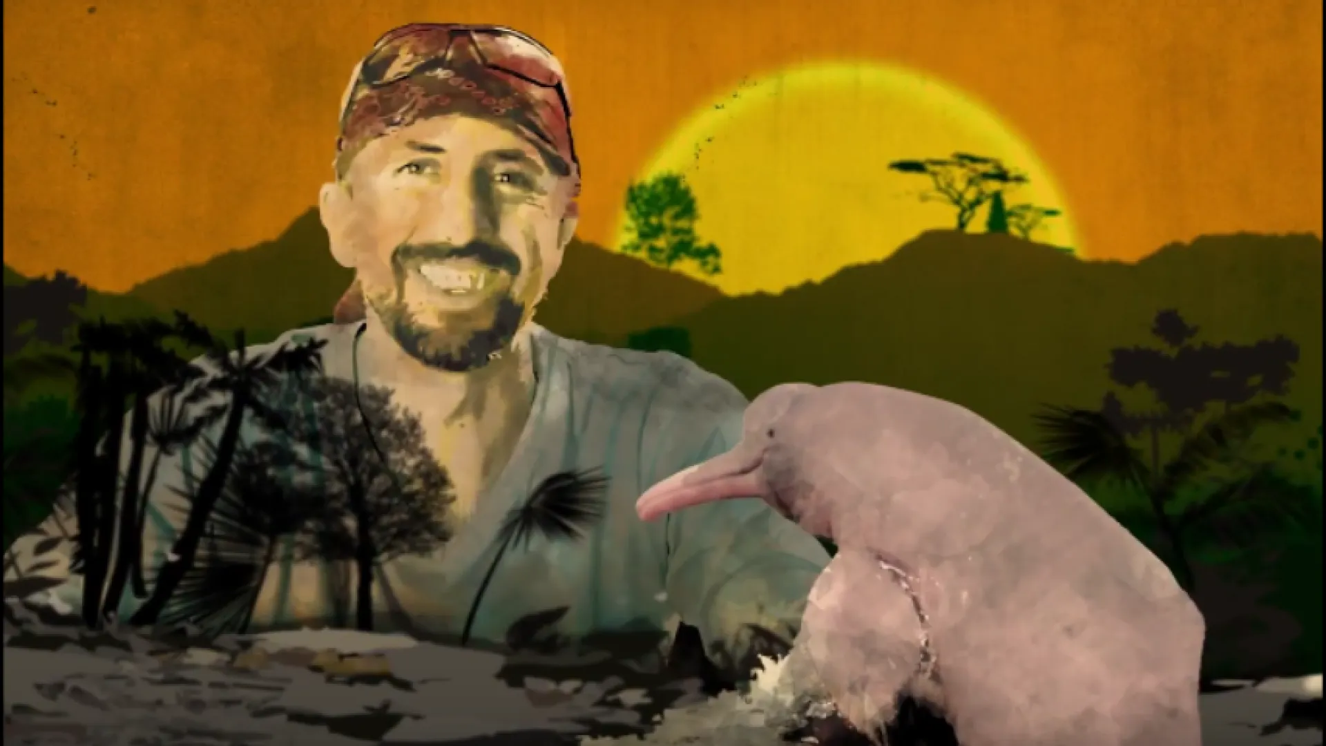 Heroes al rescate animal