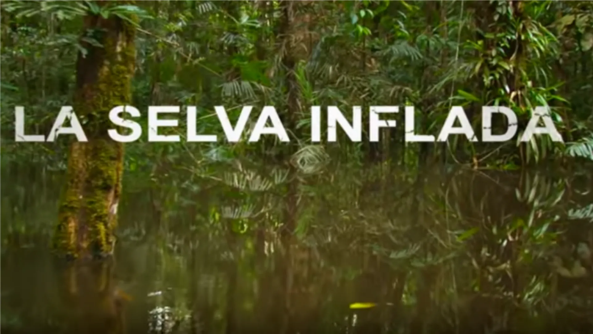 La Selva Inflada estreno por Señal Colombia