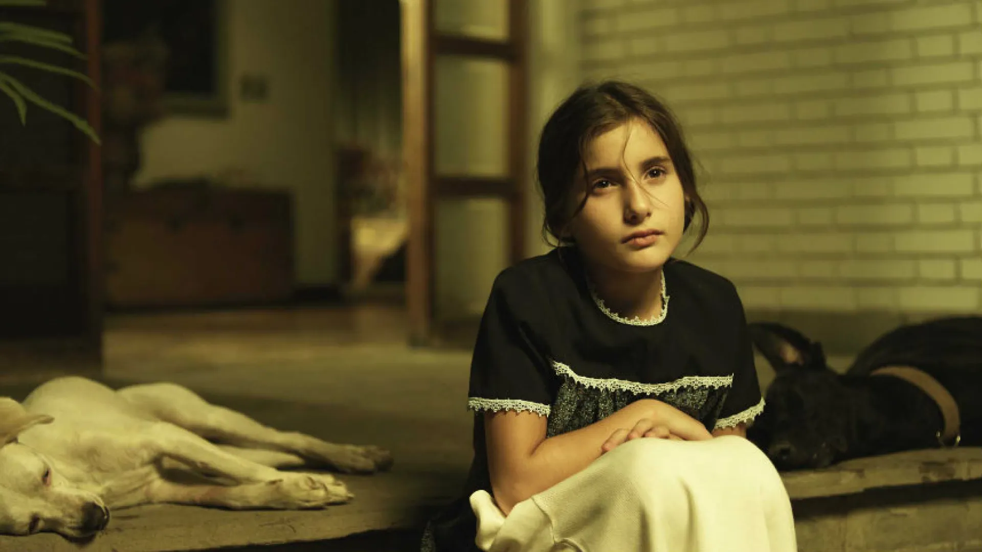 Ciclo latinoamericano “En Cine nos vemos” de Señal Colombia de RTVC