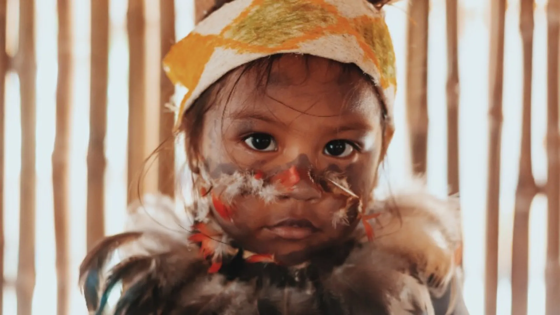 ‘Lenguas vivas: en palabras indígenas'