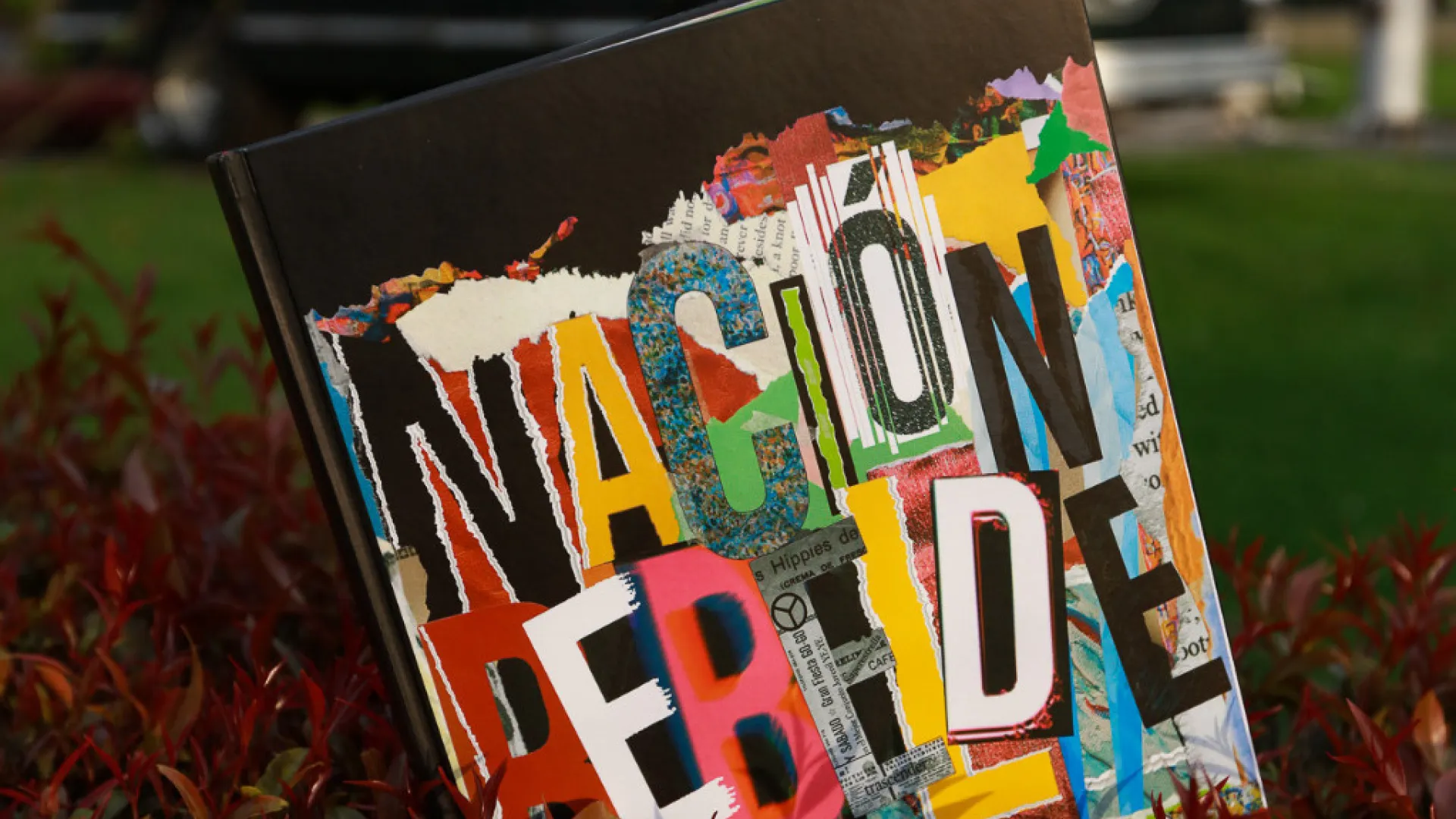 El libro Nación Rebelde