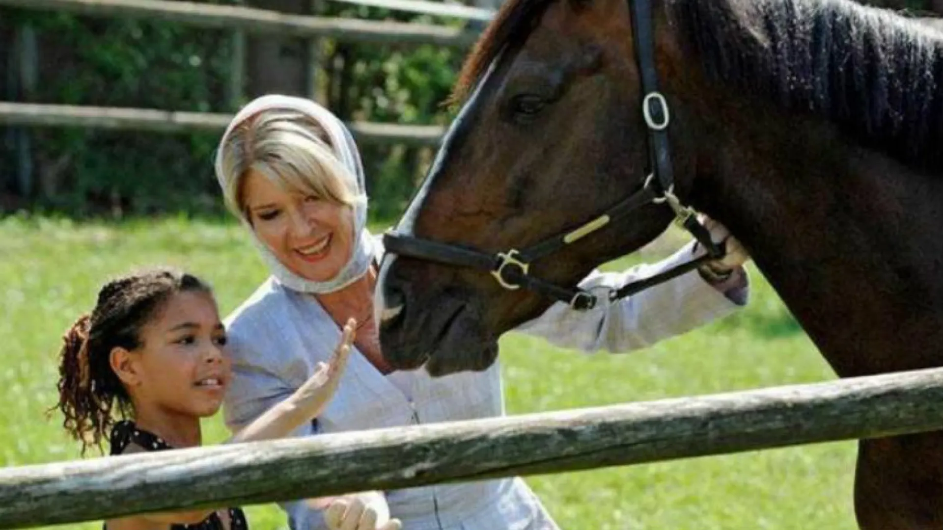 Más entretenimiento en cine familiar de Señal Colombia de RTVC