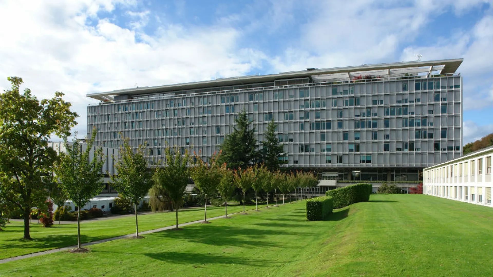 Organización Mundial de la Salud en Suiza