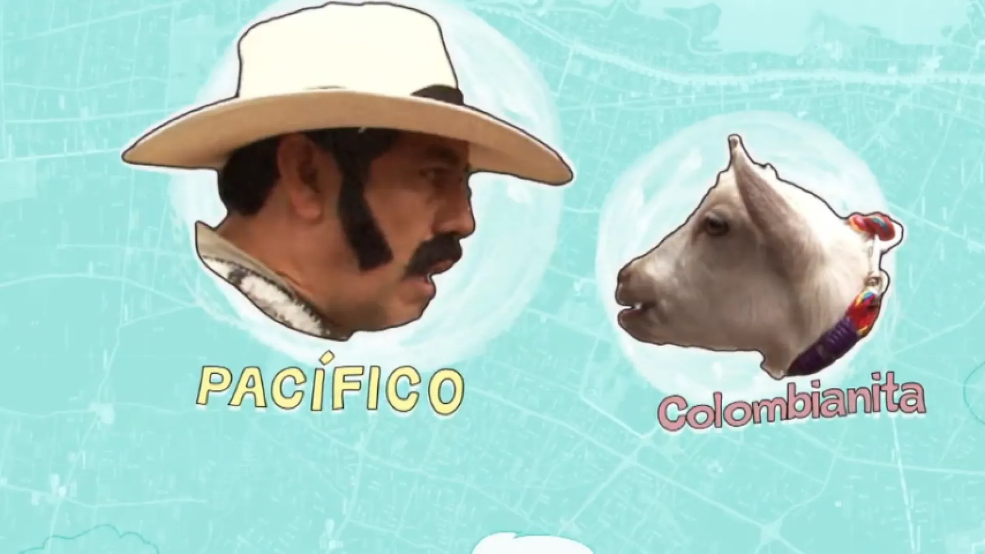 Pacifico y Colombianita