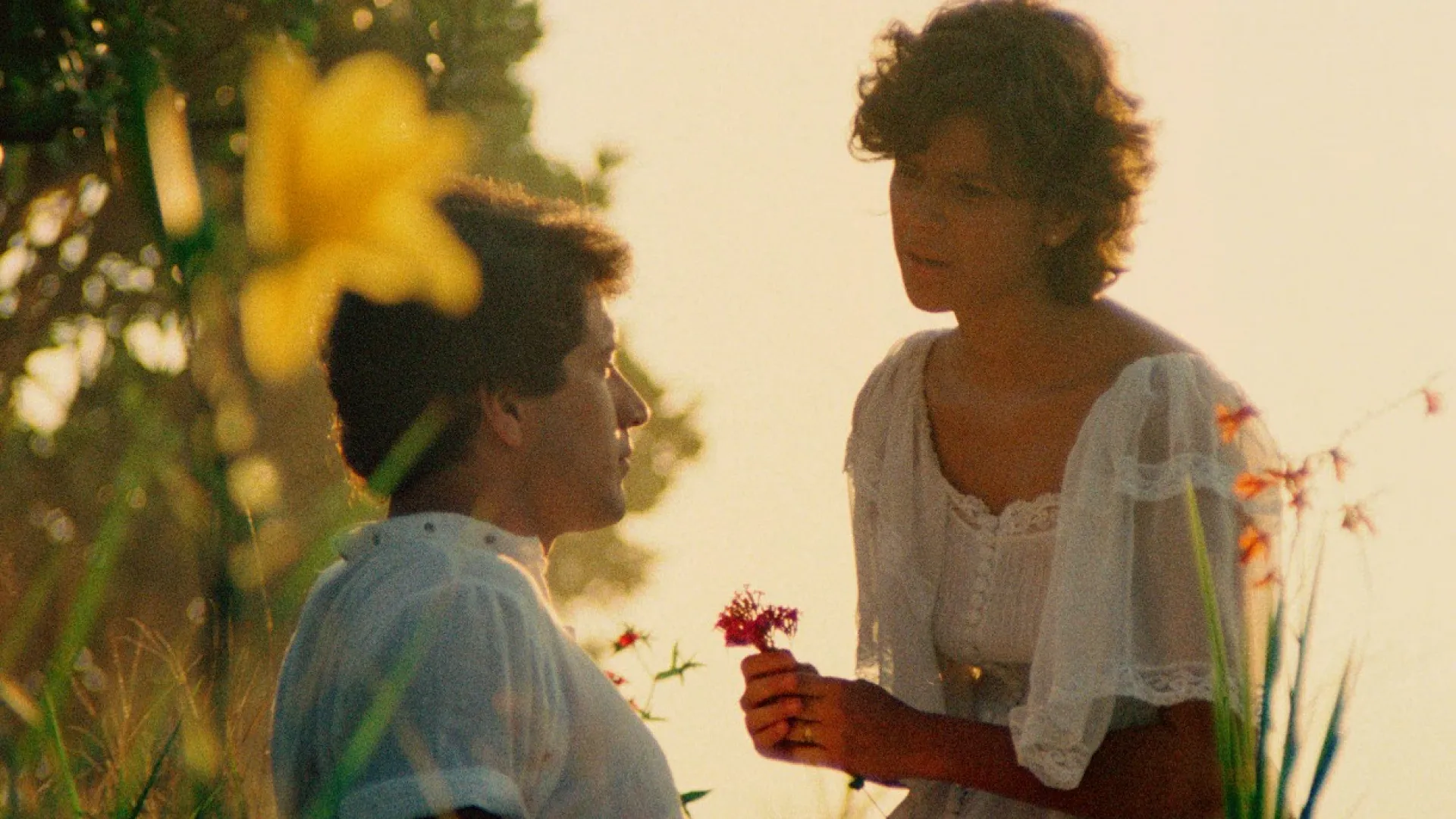 Diez películas para celebrar San Valentín con RTVCPlay