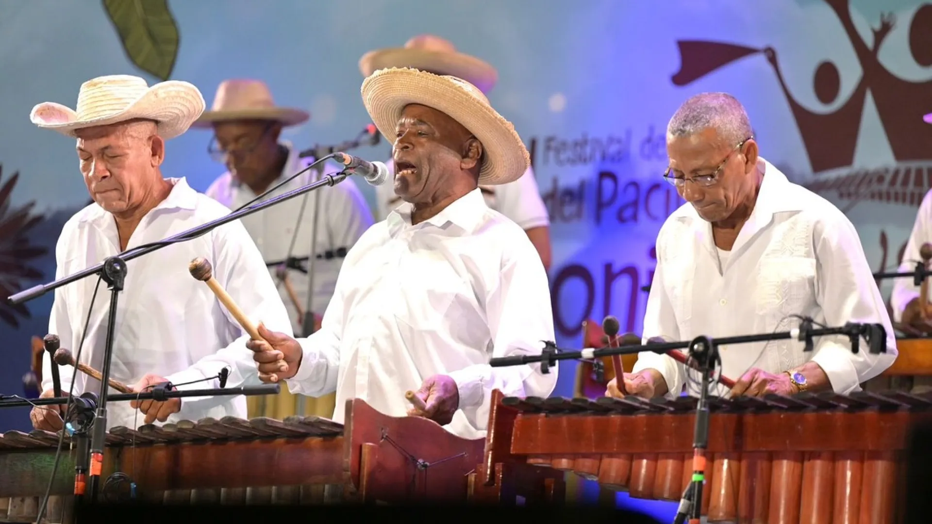 ¡Un puente para vivir todas las fiestas! Así podrá disfrutar en todo el país del Festival Petronio Álvarez