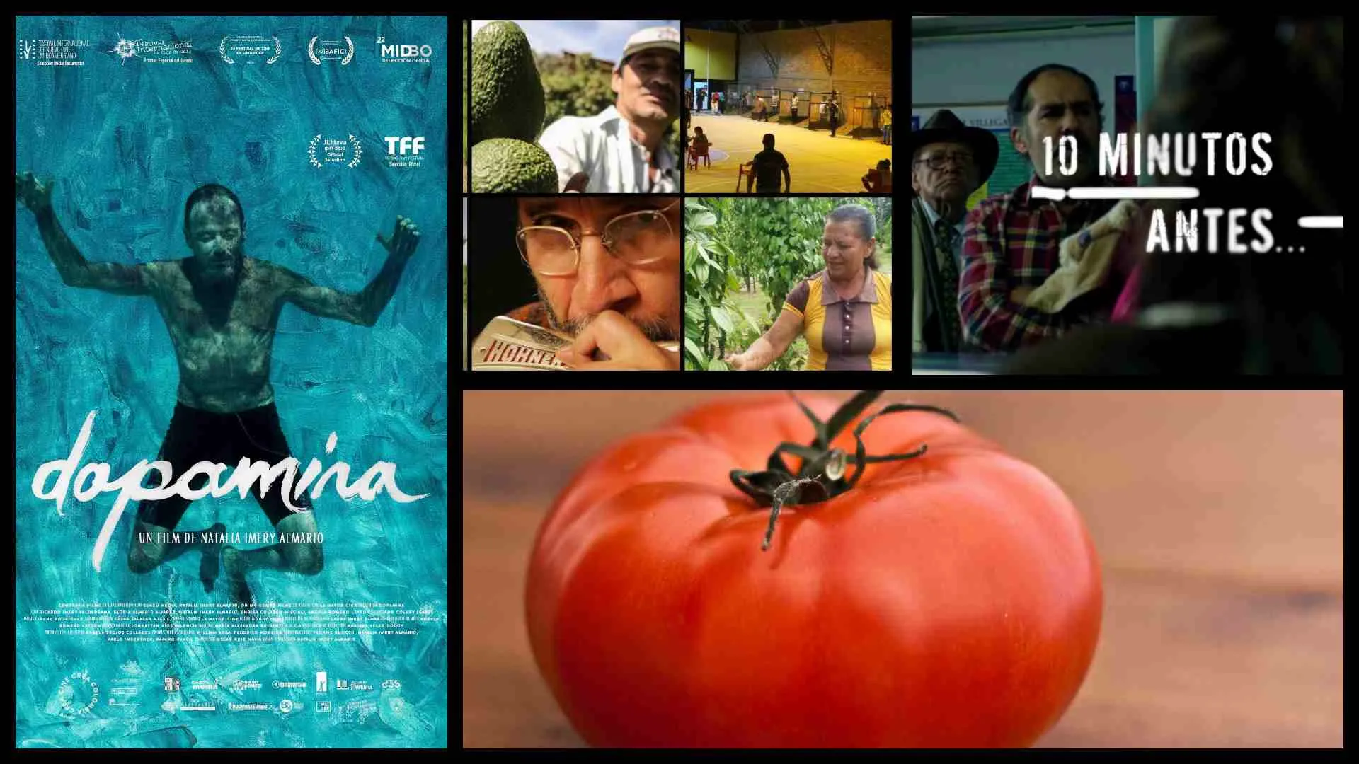 Más de 12 recomendados para disfrutar este puente festivo en RTVC