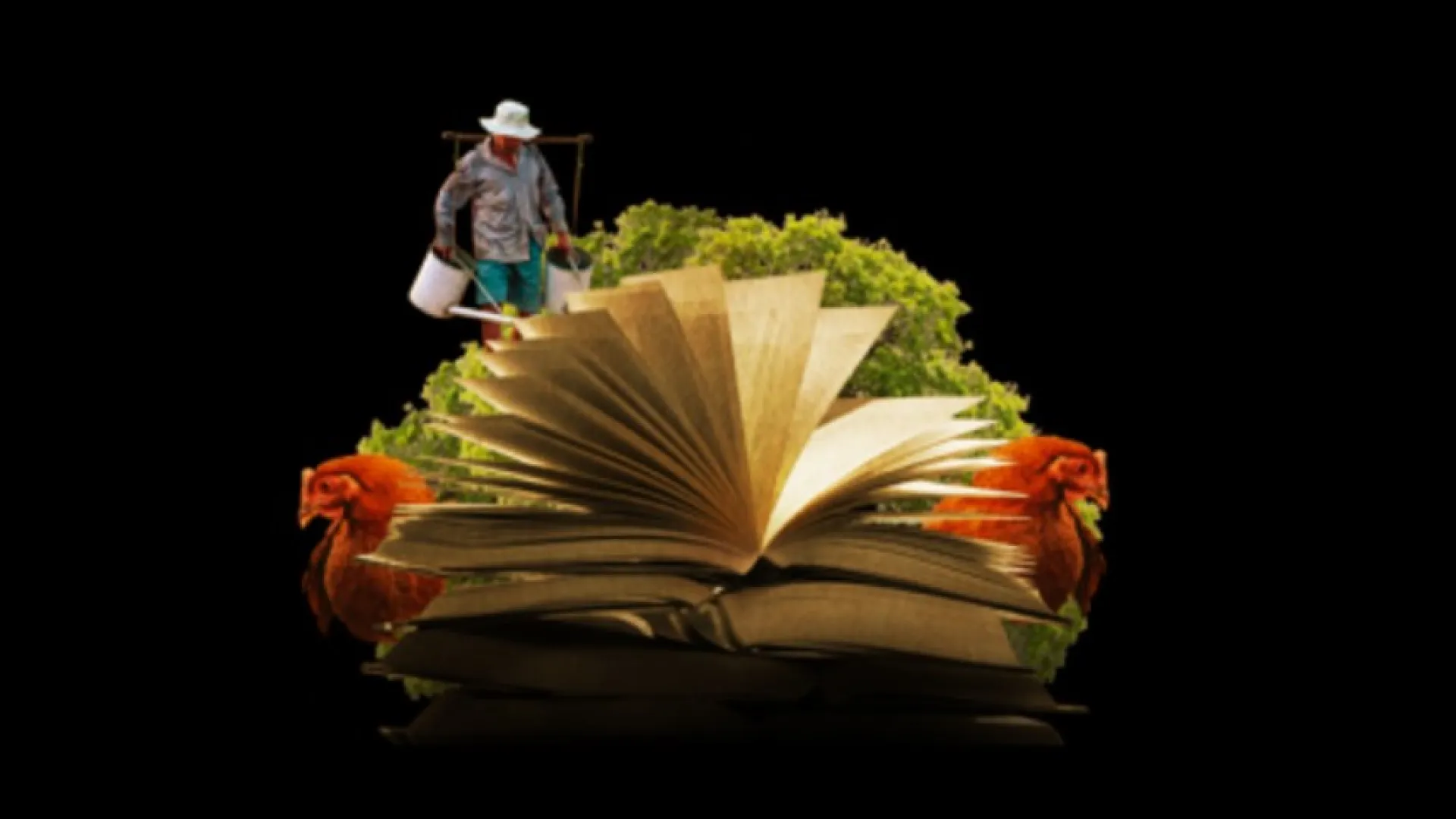 Señal Memoria y Sutatenza Stereo se unen para recordar la radio educativa en Colombia