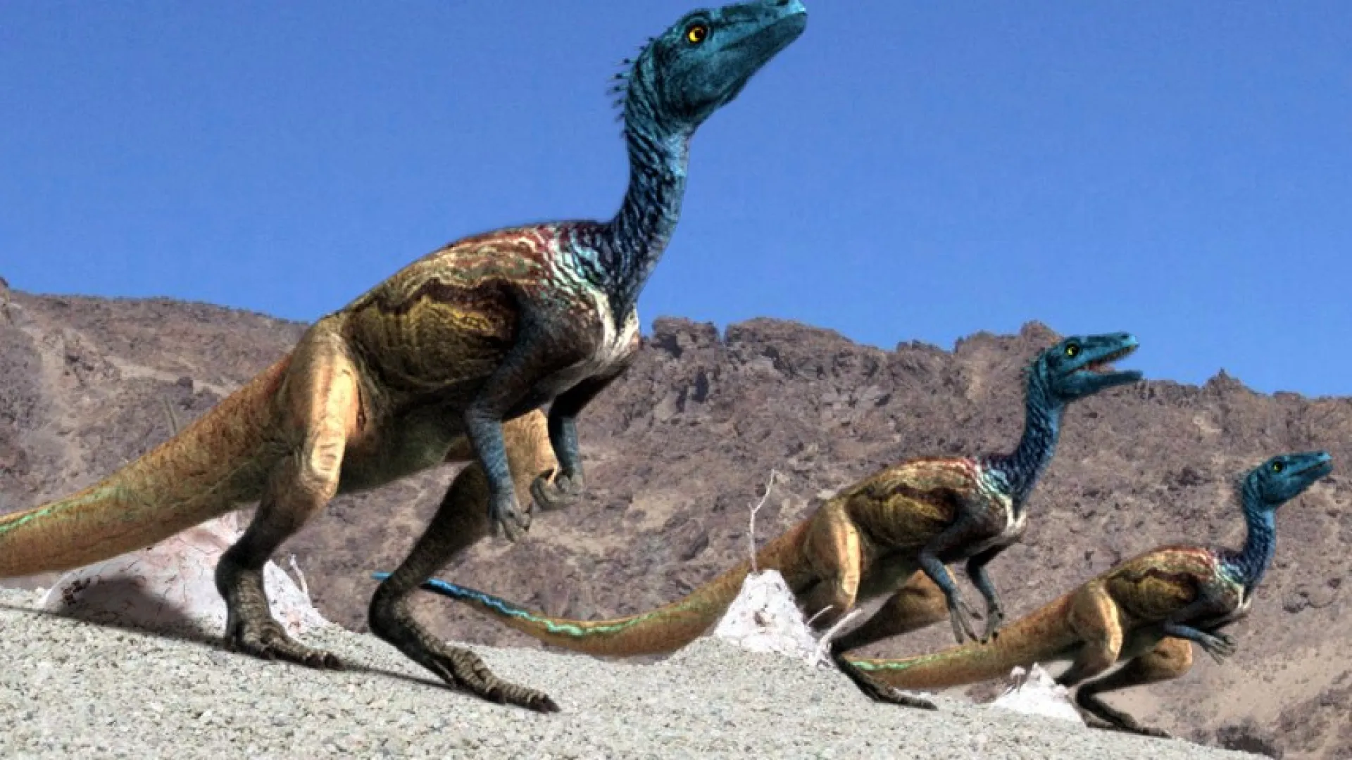 Reino de los dinosaurios