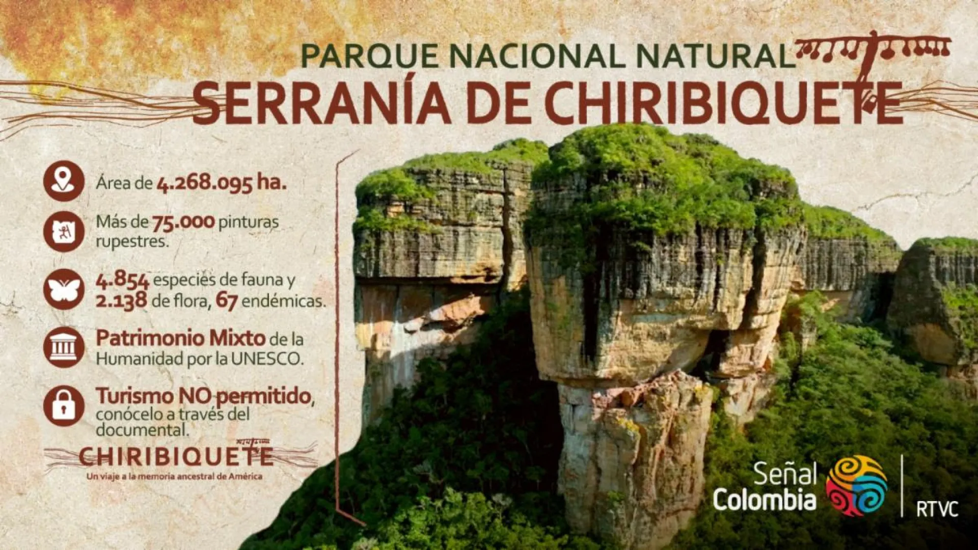 Cinco cosas que debe saber antes de conocer las maravillas de Chiribiquete