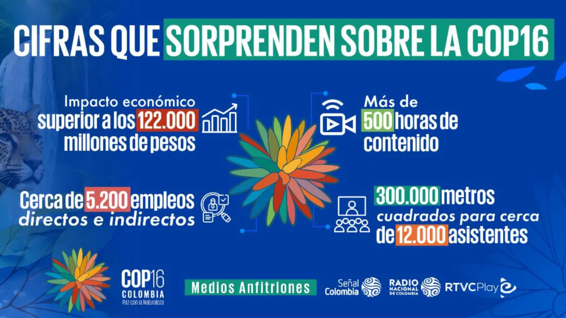 Las sorprendentes cifras de la COP16