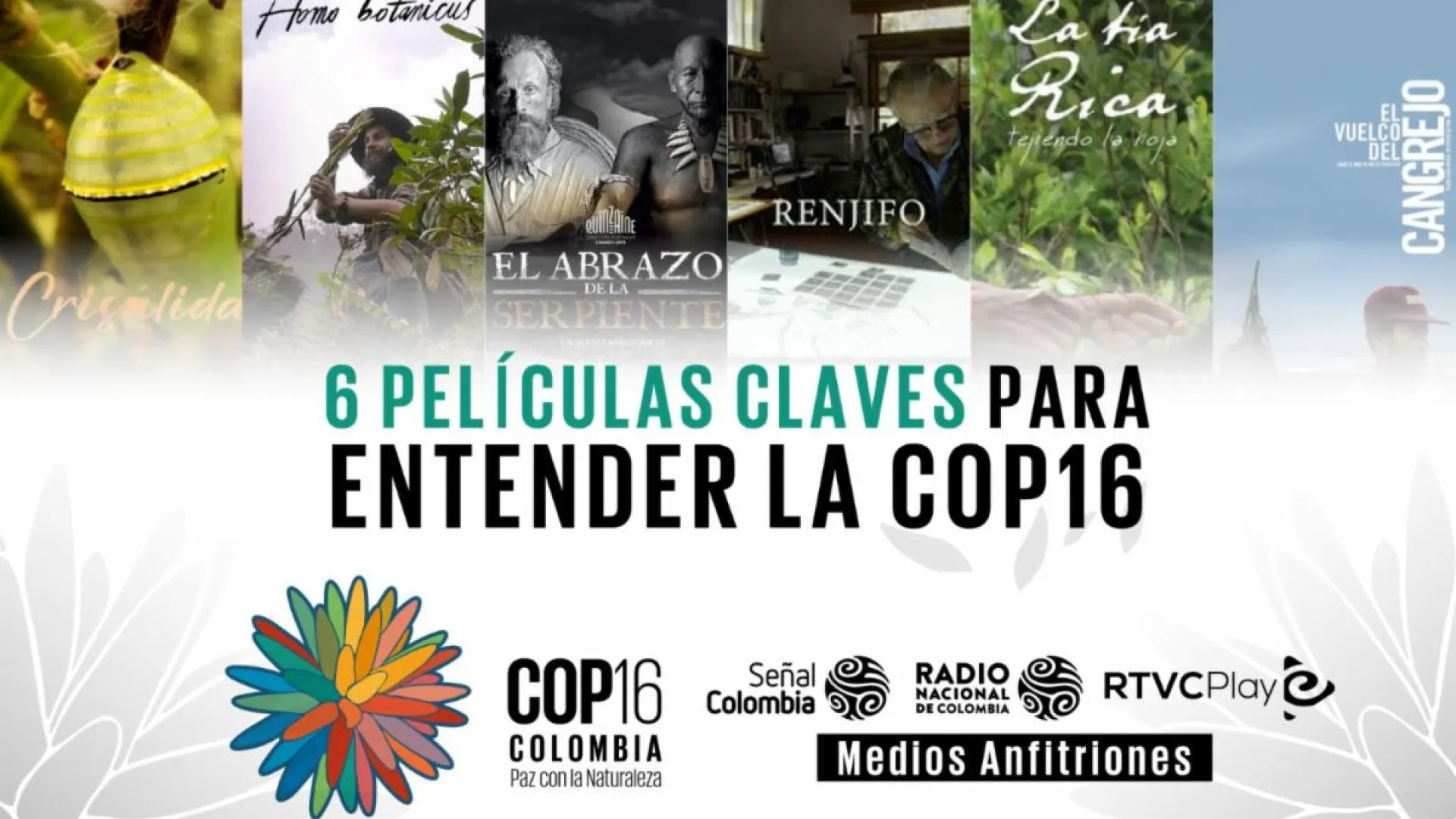 6 películas claves para entender la COP16
