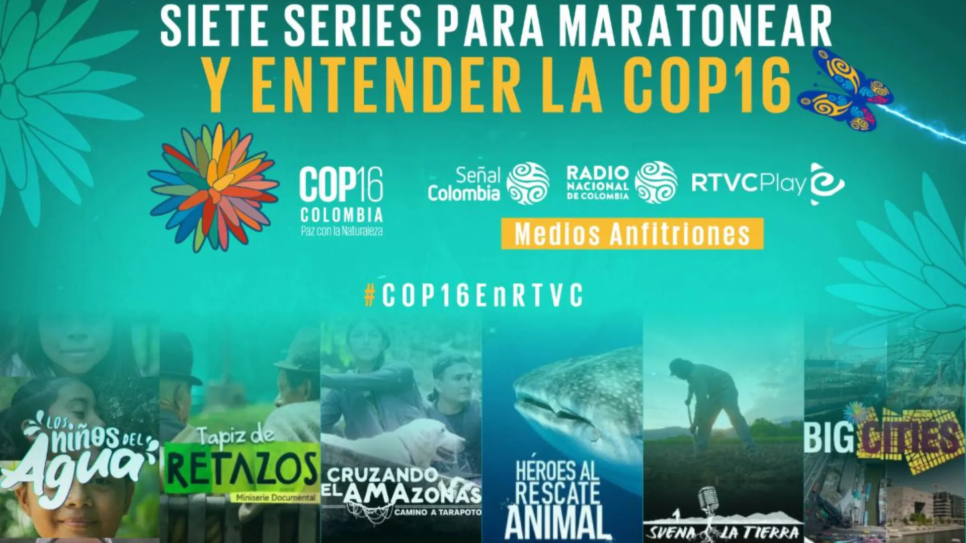 7 series para maratonear y entender la COP16