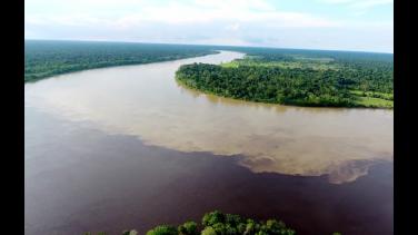 Música y medio ambiente: la oferta de RTVC para este lunes festivo