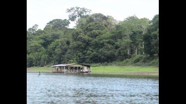 Respira Amazonía: el proyecto convergente del año en RTVC