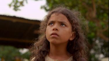 No te pierdas El Árbol Rojo en RTVCPlay