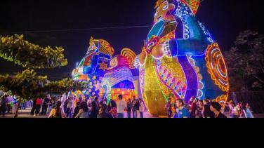 Prográmate: así se enciende la Navidad en Bogotá y Medellín