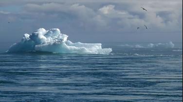 Cambio climático: informe especial de RTVC Noticias