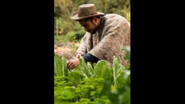 Bogotá campesina: un informe de Radio Nacional