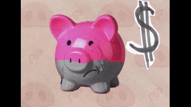 Un chancho y una vaca llegan a RTVC para hablar de economía