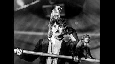 Conéctate con nuestro ciclo de Charles Chaplin en Señal Colombia